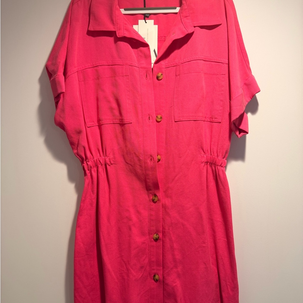 Zara Pink Button-Up Dress